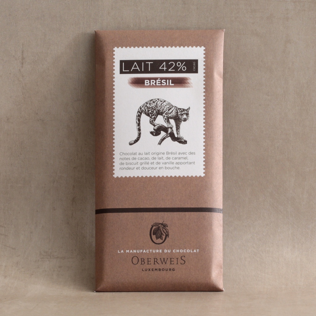 Tablette chocolat lait origine Brésil 42% 90g