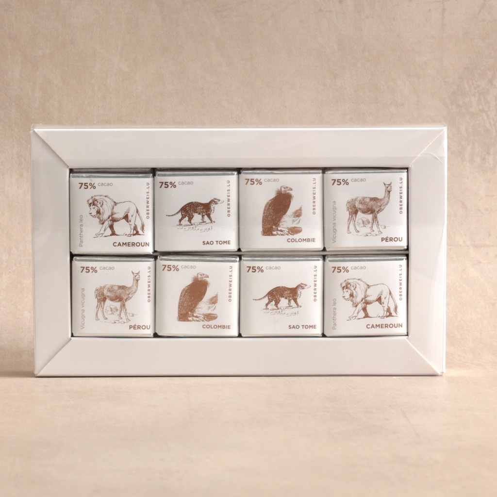 Coffret de 16 napolitains - 4 origines du monde