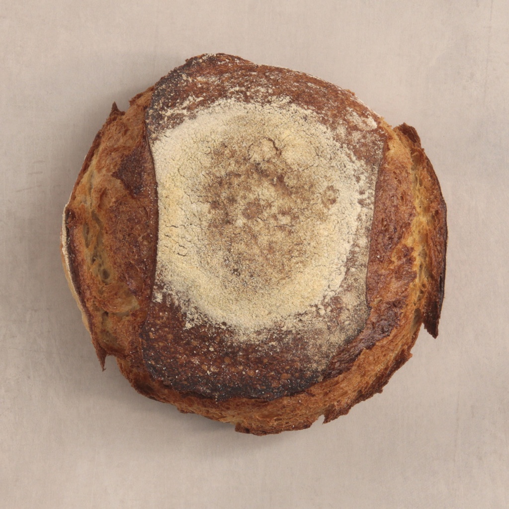 Pain au blé de Khorasan