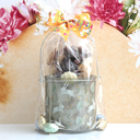 photophore lapin 2.webp