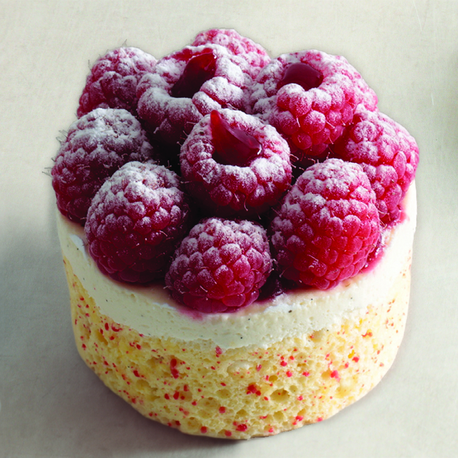 charlotte ind 2026.jpg