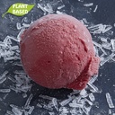 [010581*] Full fruit raspberry sorbet 1/2 L