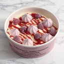 [012414*] Vanilla-Raspberry Vacherin iced delight