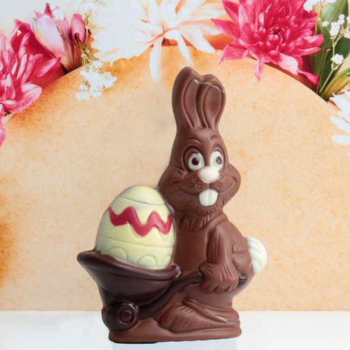 Lapin et sa brouette T1