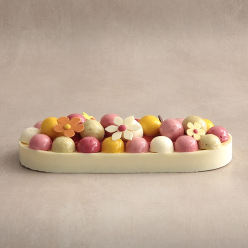 [000223*] Tarte glacée aux fruits