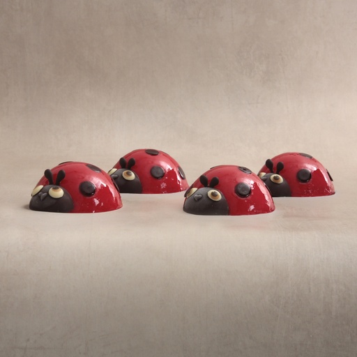 Coccinelles individuelles